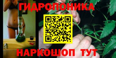 ECSTASY Конаково
