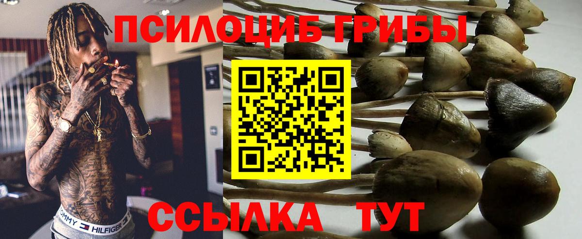 Псилоцибиновые грибы ЛСД Куйбышев